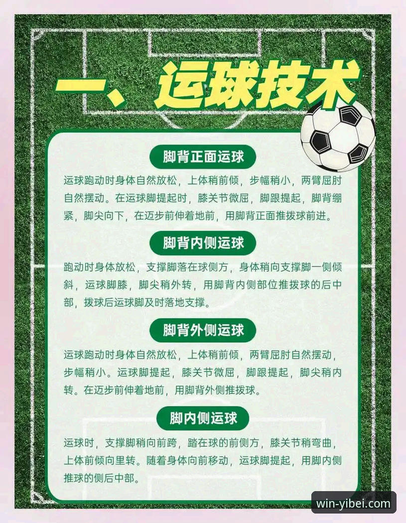 易倍体育平台一站式使用与深度体验教程：解锁体育赛事首选平台攻略